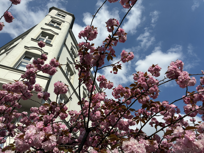 Das iPhone 16e belichtet stellenweise schlechter ...
